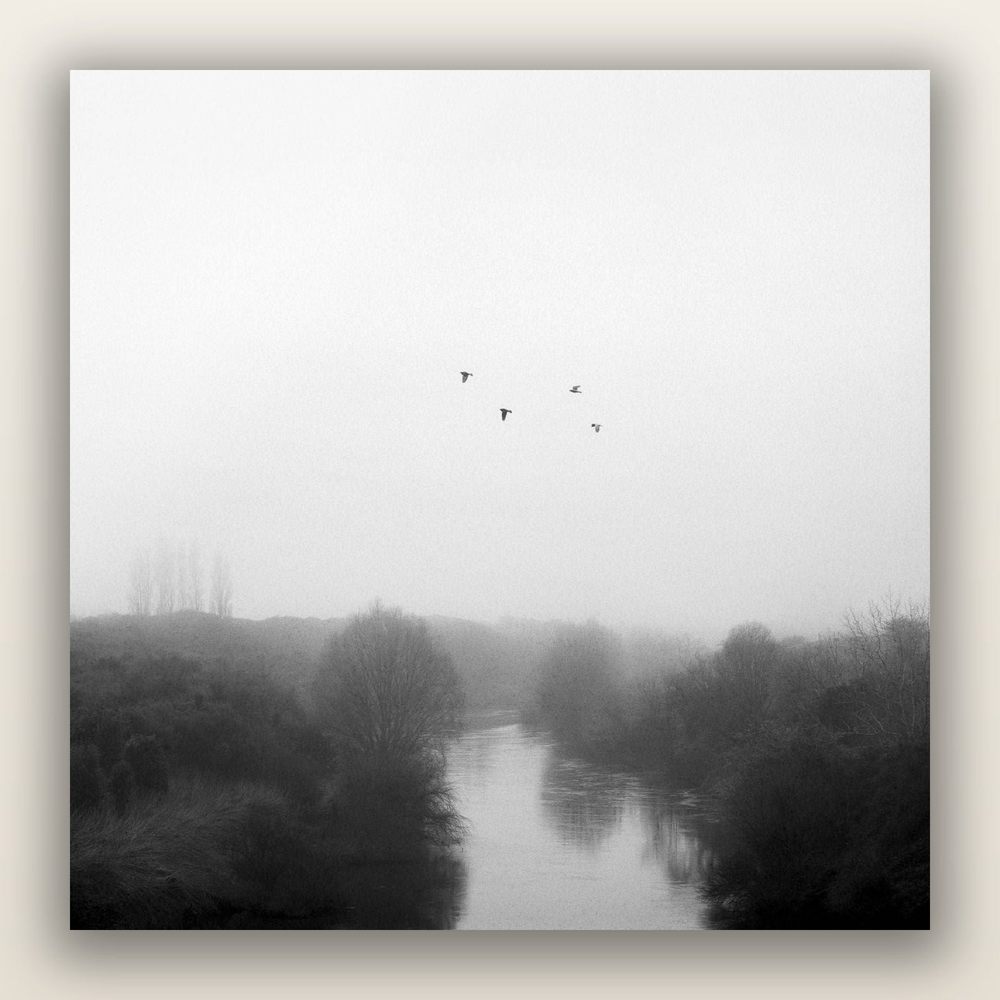 Graceful Flyby, Waikato — frameless acrylic glass print. New Zealand fine art landscape photography by Stephen Milner.