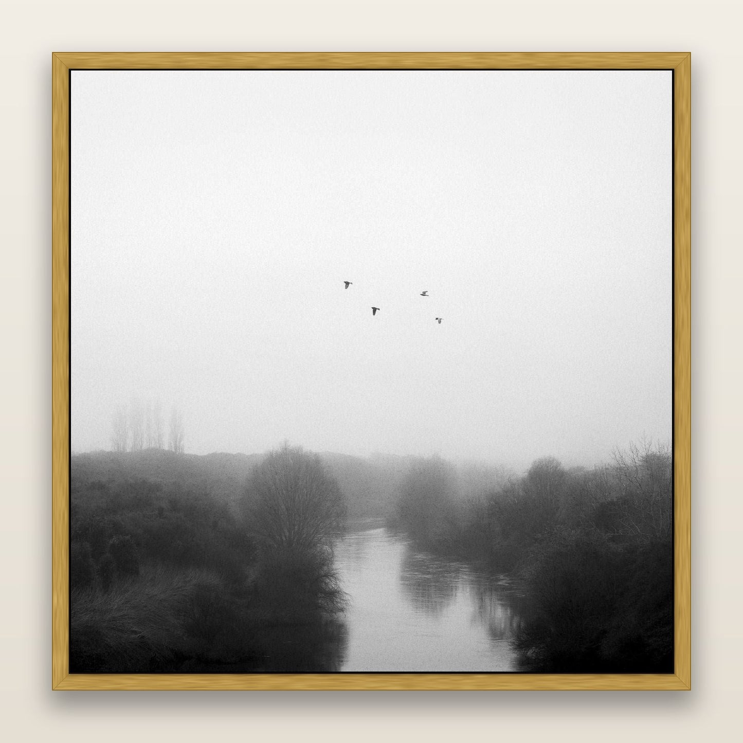 Graceful Flyby, Waikato — framed metallic canvas print, Antique Gold frame. New Zealand fine art landscape wall art by Stephen Milner.
