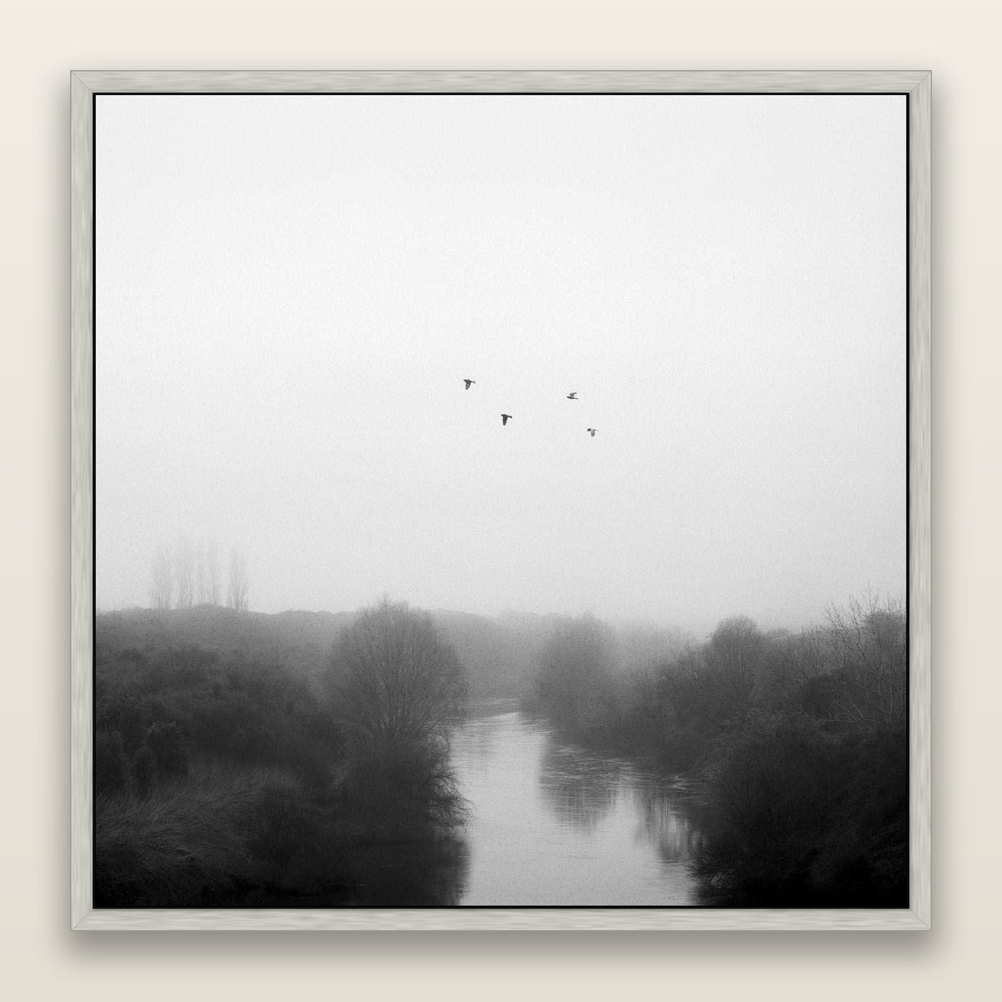 Graceful Flyby, Waikato — framed metallic canvas print, Antique Silver frame. New Zealand fine art landscape wall art by Stephen Milner.