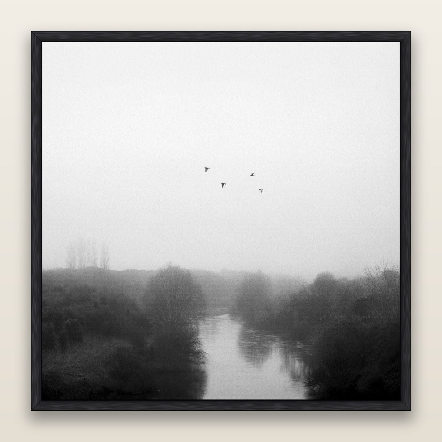 Graceful Flyby, Waikato — framed metallic canvas print, Black frame. New Zealand fine art landscape wall art by Stephen Milner.