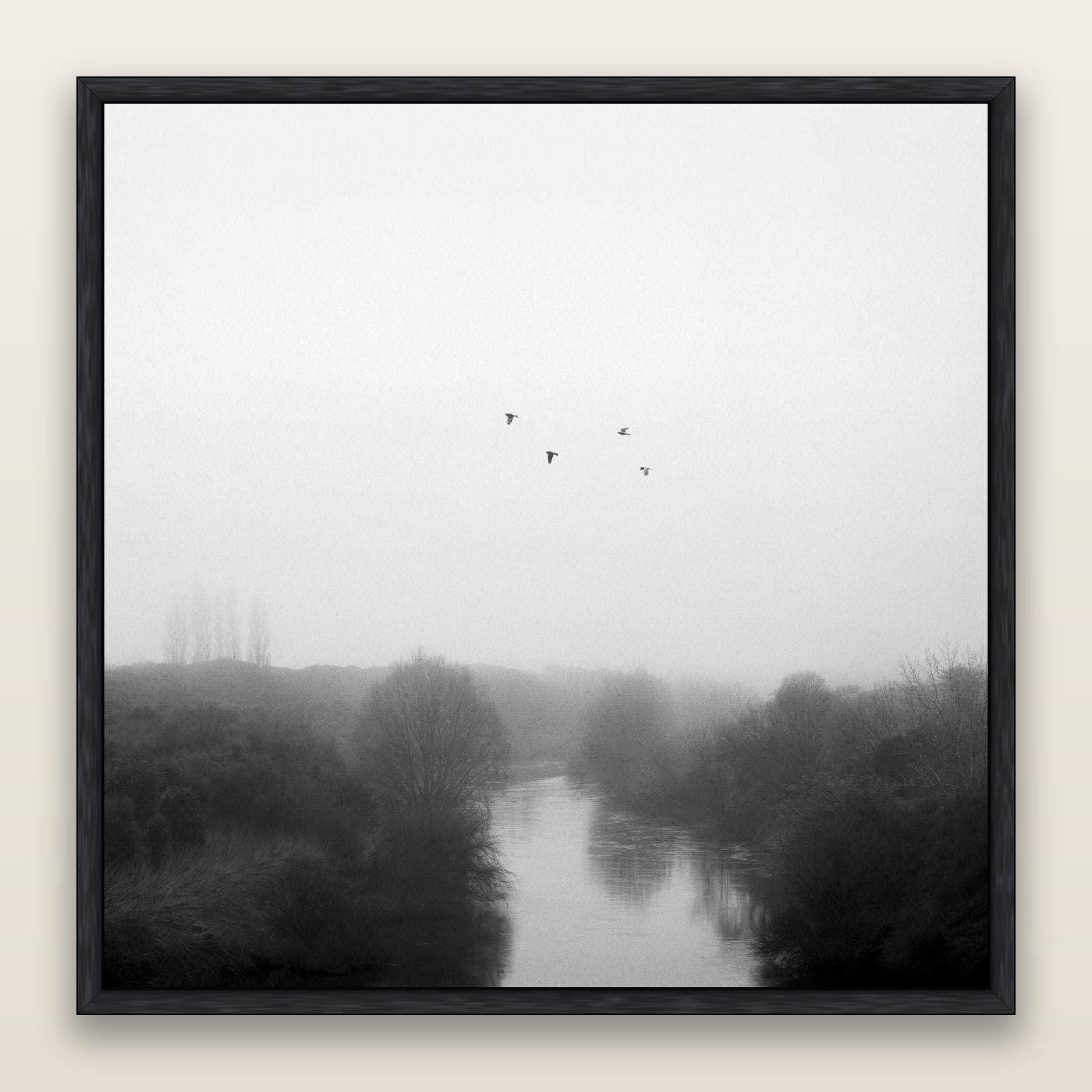 Graceful Flyby, Waikato — framed metallic canvas print, Black frame. New Zealand fine art landscape wall art by Stephen Milner.