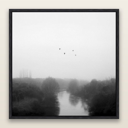 Graceful Flyby, Waikato — framed metallic canvas print, Black frame. New Zealand fine art landscape wall art by Stephen Milner.