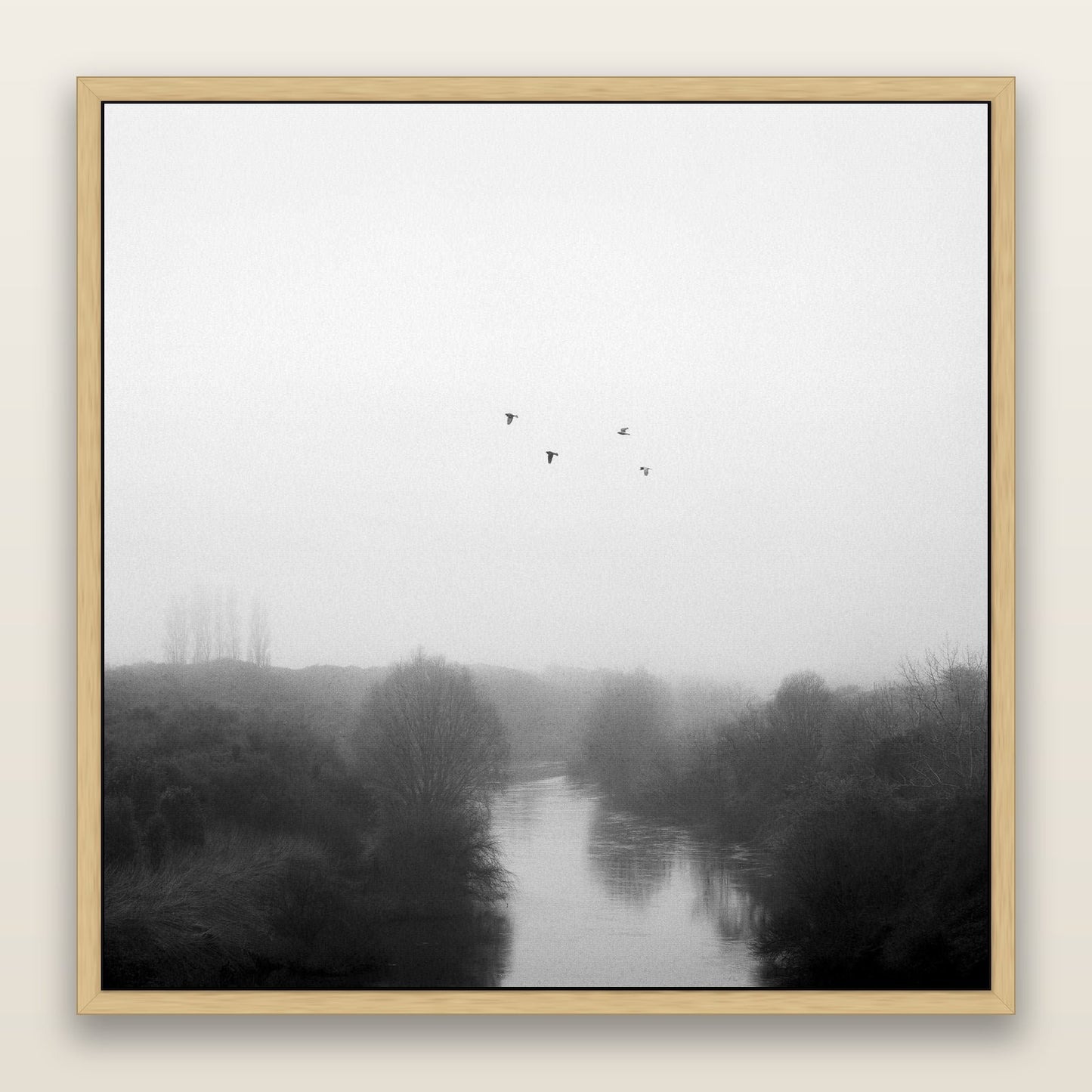 Graceful Flyby, Waikato — framed metallic canvas print, Natural frame. New Zealand fine art landscape wall art by Stephen Milner.
