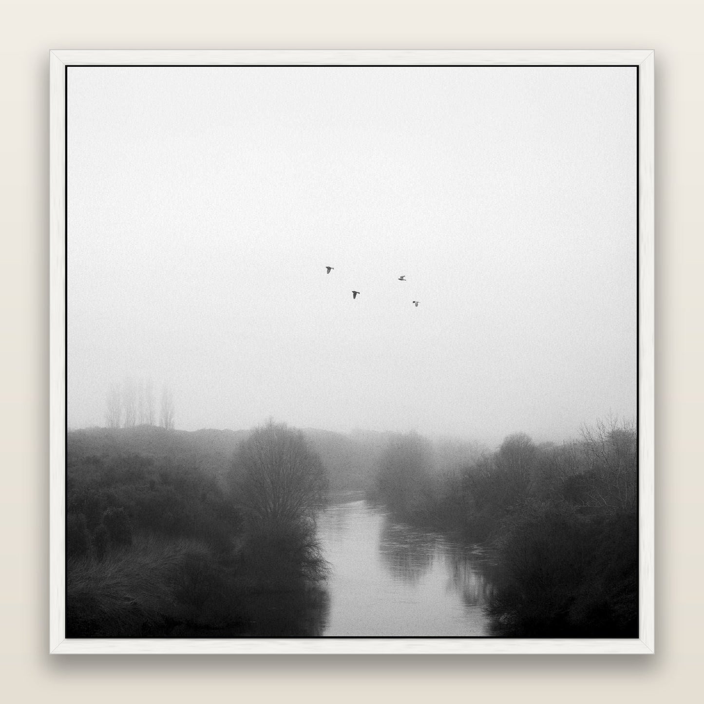 Graceful Flyby, Waikato — framed metallic canvas print, White frame. New Zealand fine art landscape wall art by Stephen Milner.