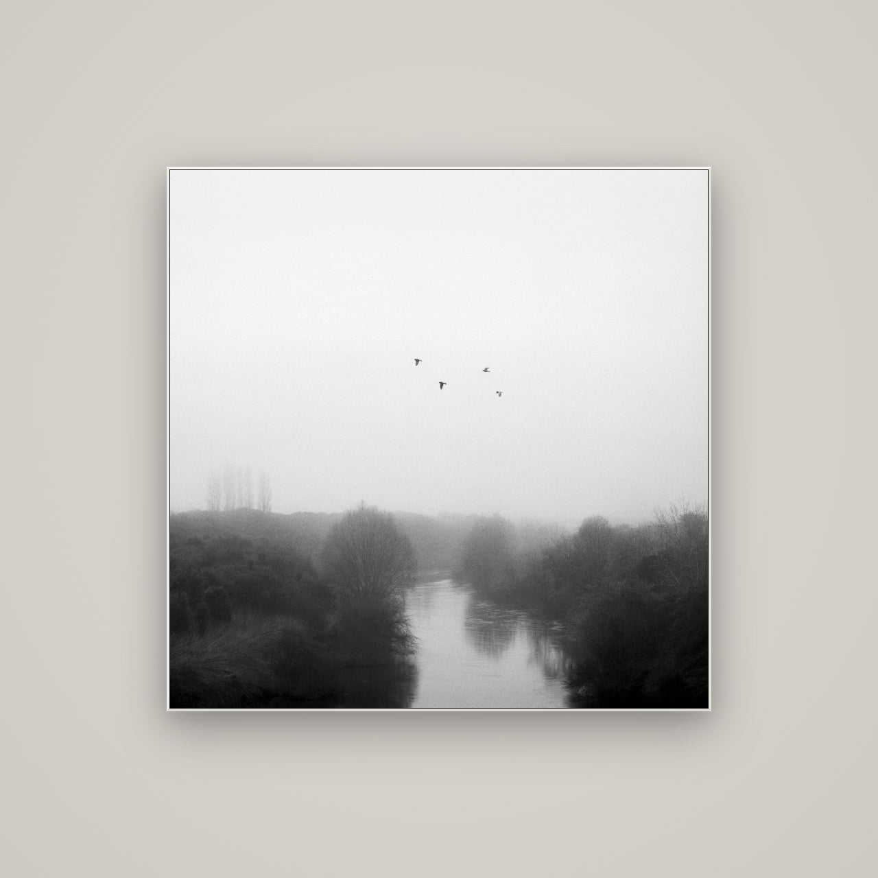 Graceful Flyby, Waikato — ArtBox White, 100×100 cm. New Zealand fine art wall art by Stephen Milner.