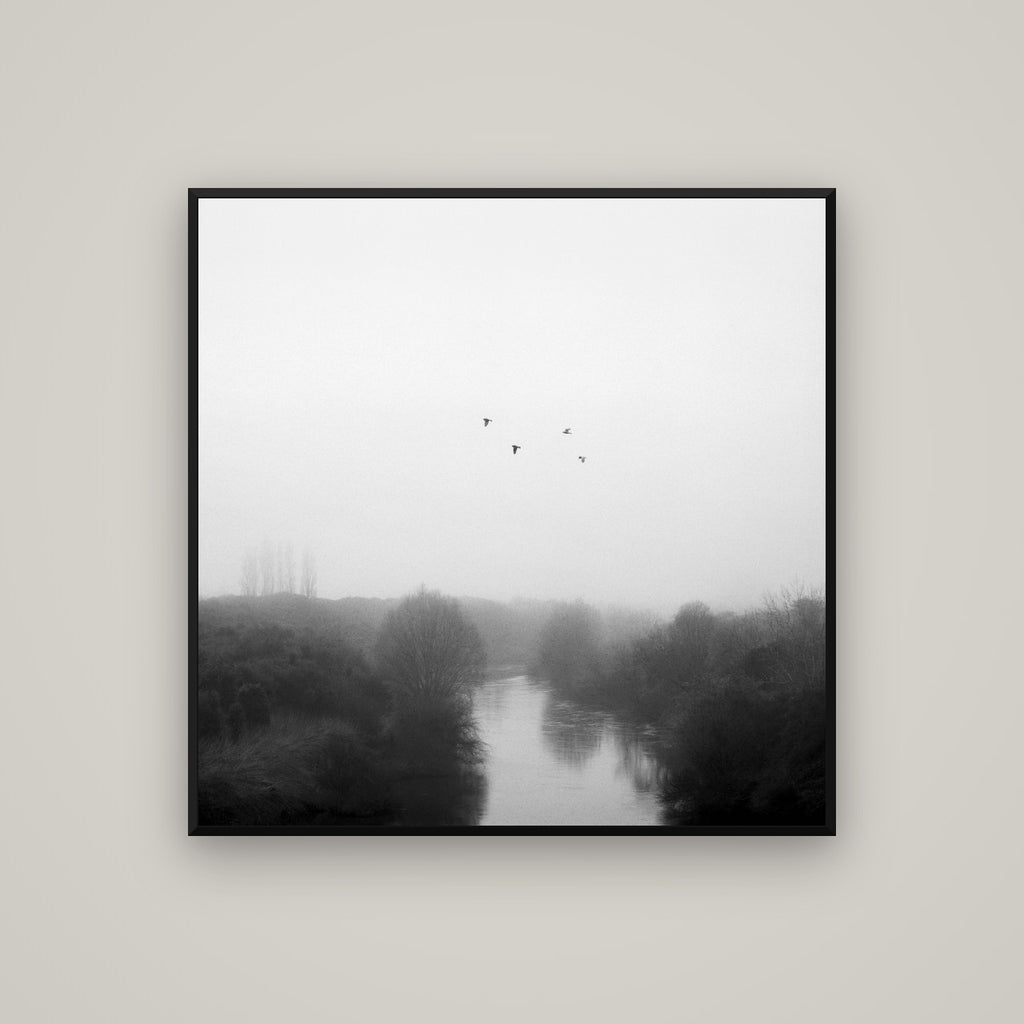 Graceful Flyby, Waikato — Basel Black Matte, 100×100 cm. New Zealand fine art wall art by Stephen Milner.