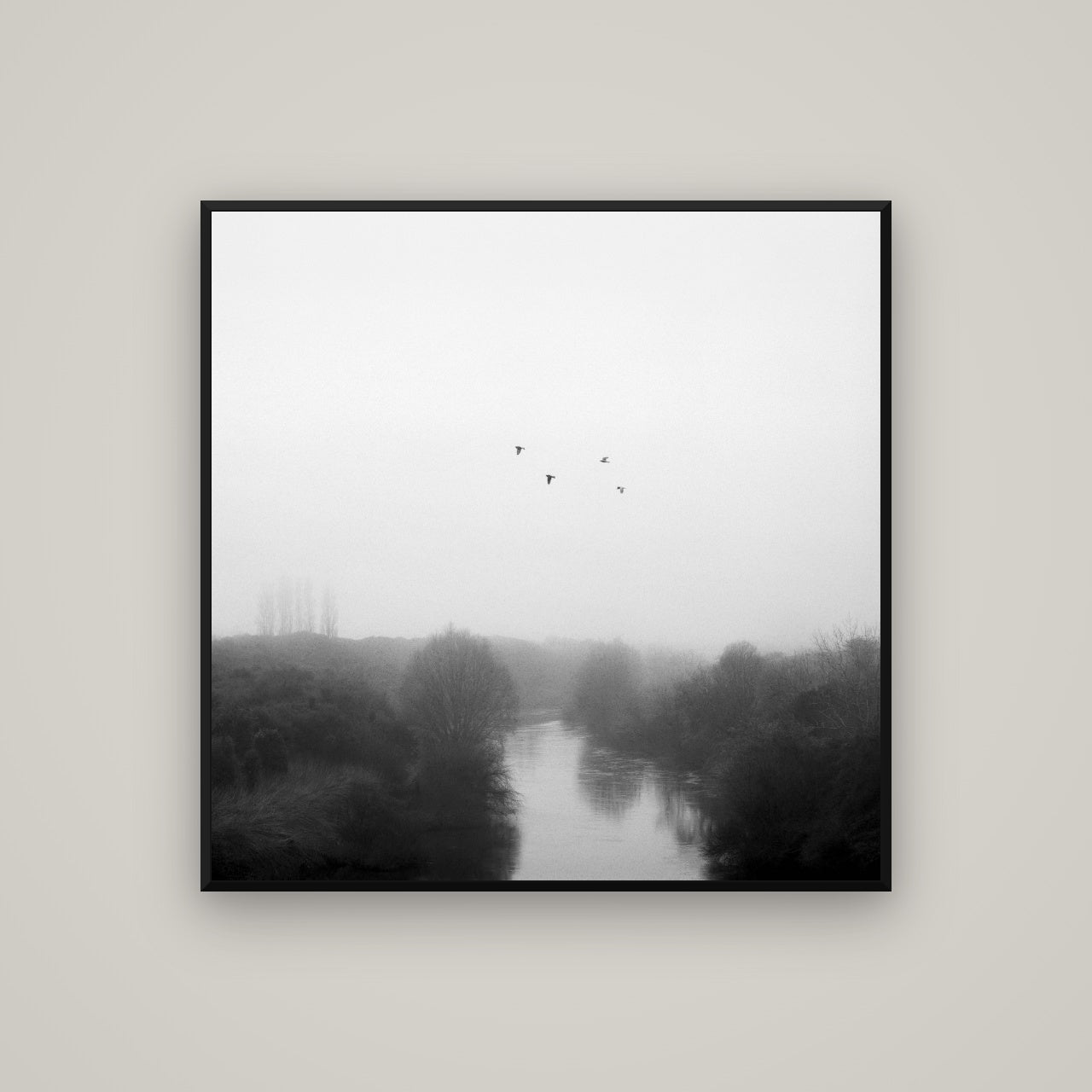 Graceful Flyby, Waikato — Basel Black, 100×100 cm. New Zealand fine art wall art by Stephen Milner.