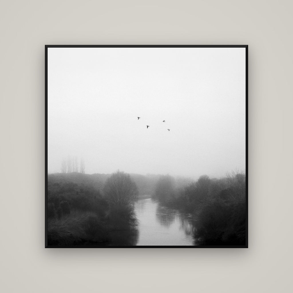 Graceful Flyby, Waikato — Basel Black Matte, 120×120 cm. New Zealand fine art wall art by Stephen Milner.