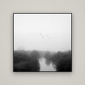 Graceful Flyby, Waikato — Basel Black, 120×120 cm. New Zealand fine art wall art by Stephen Milner.