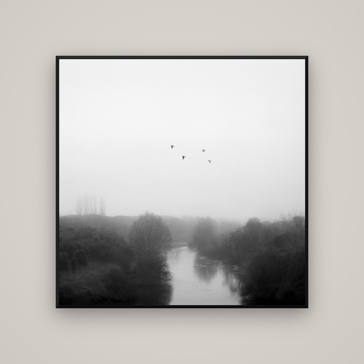 Graceful Flyby, Waikato — Basel Black, 120×120 cm. New Zealand fine art wall art by Stephen Milner.