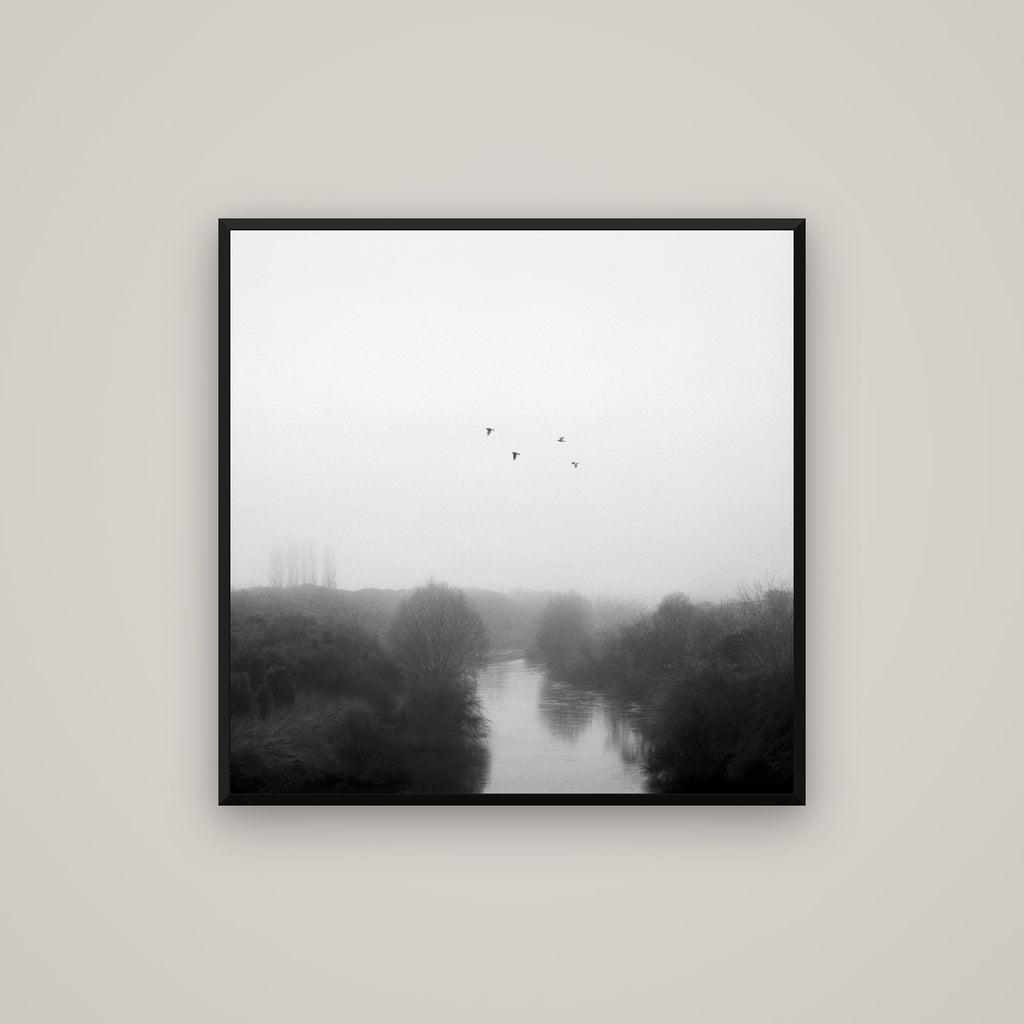Graceful Flyby, Waikato — Basel Black Matte, 80×80 cm. New Zealand fine art wall art by Stephen Milner.