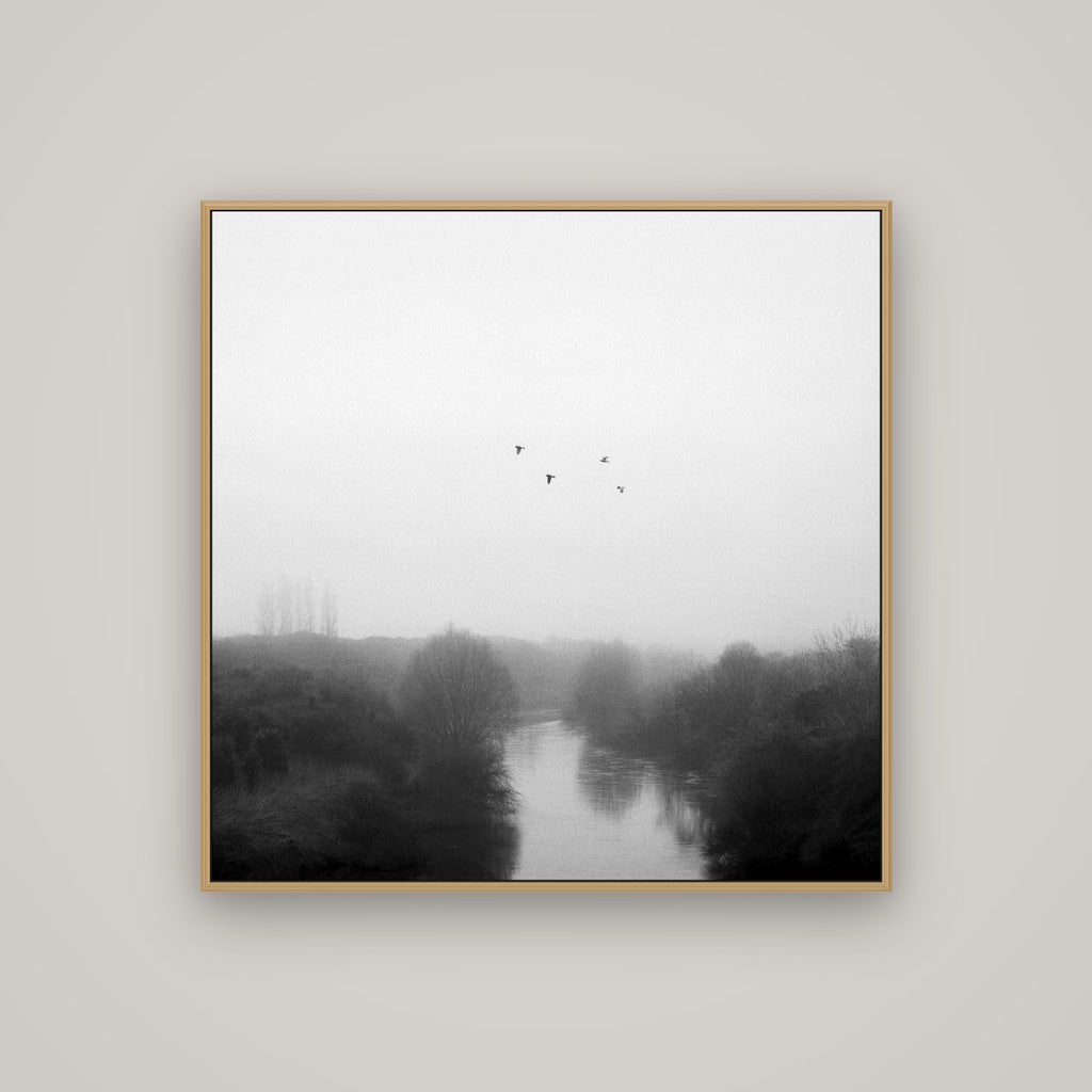Graceful Flyby, Waikato, Basel Natural Oak, 100×100 cm. New Zealand fine art wall art by Stephen Milner.