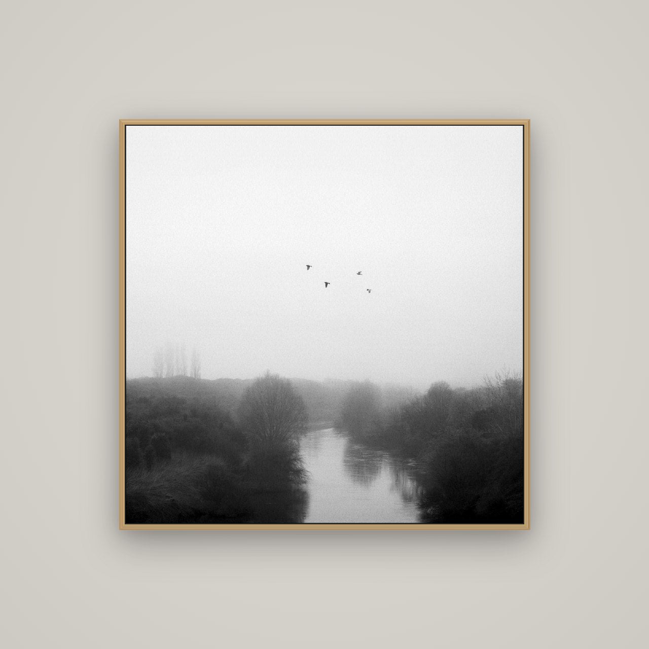 Graceful Flyby, Waikato, Basel Natural Oak, 100×100 cm. New Zealand fine art wall art by Stephen Milner.