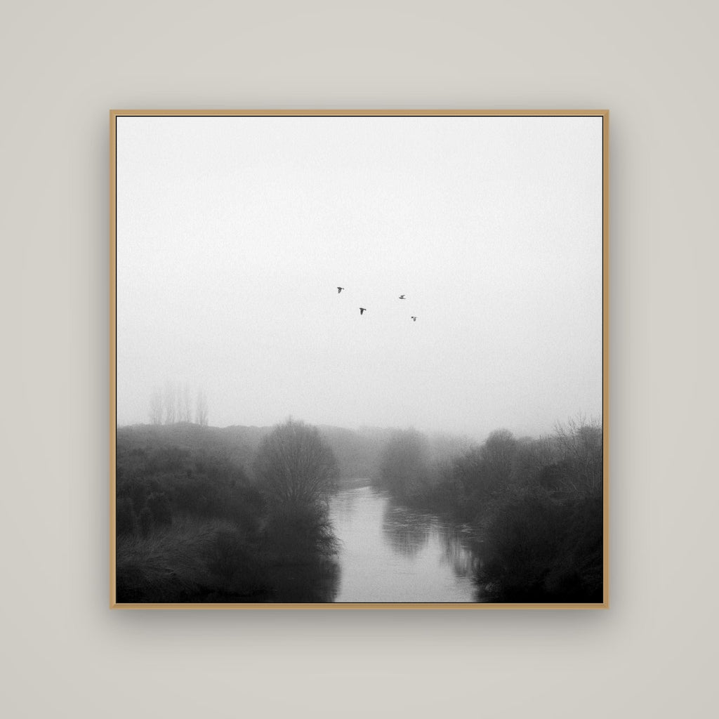 Graceful Flyby, Waikato, Basel Natural Oak, 120×120 cm. New Zealand fine art wall art by Stephen Milner.