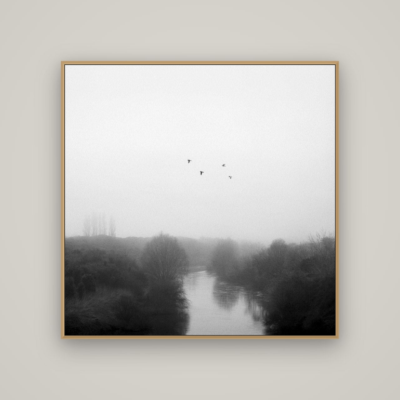 Graceful Flyby, Waikato, Basel Natural Oak, 120×120 cm. New Zealand fine art wall art by Stephen Milner.