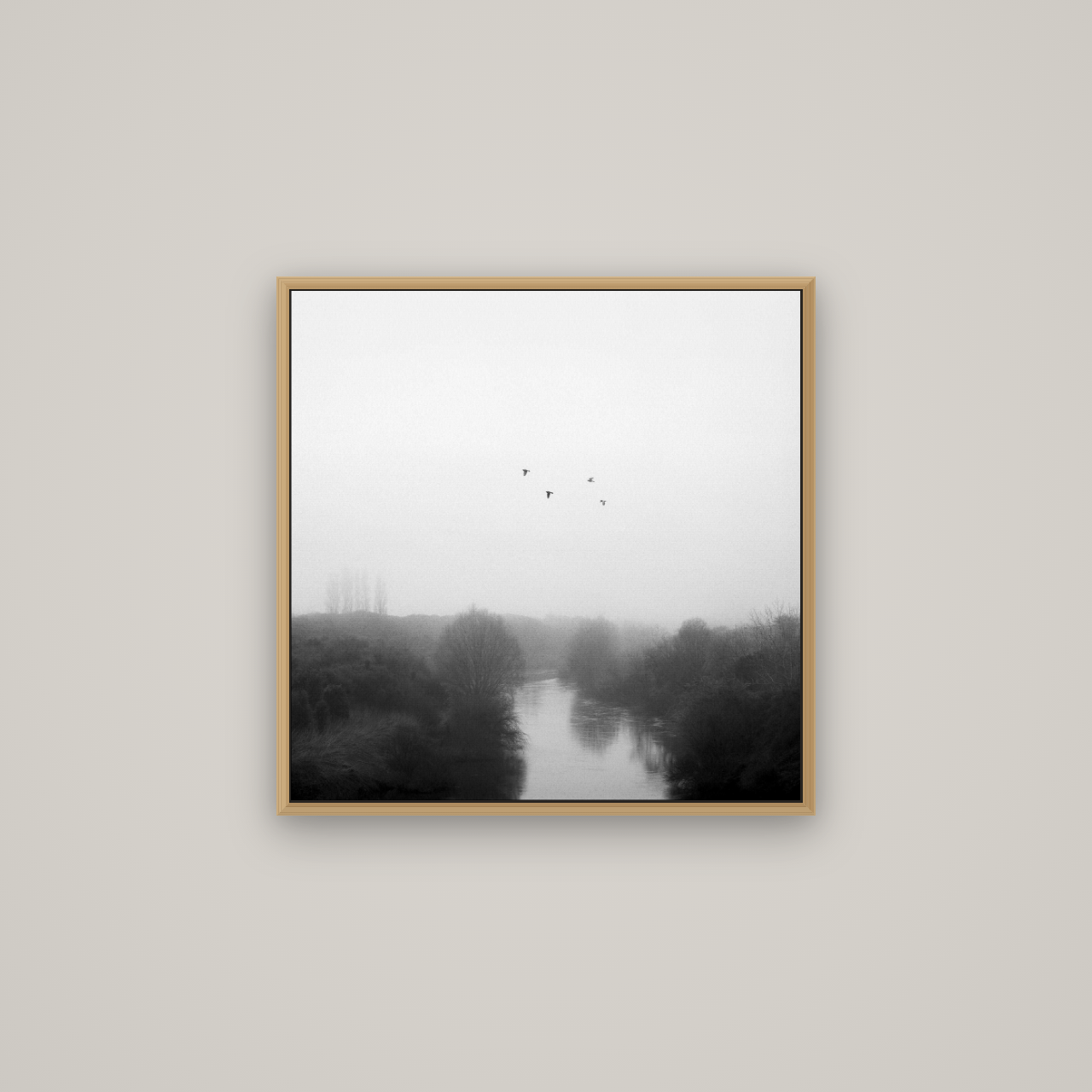 Graceful Flyby, Waikato, Basel Natural Oak, 60×60 cm. New Zealand fine art wall art by Stephen Milner.