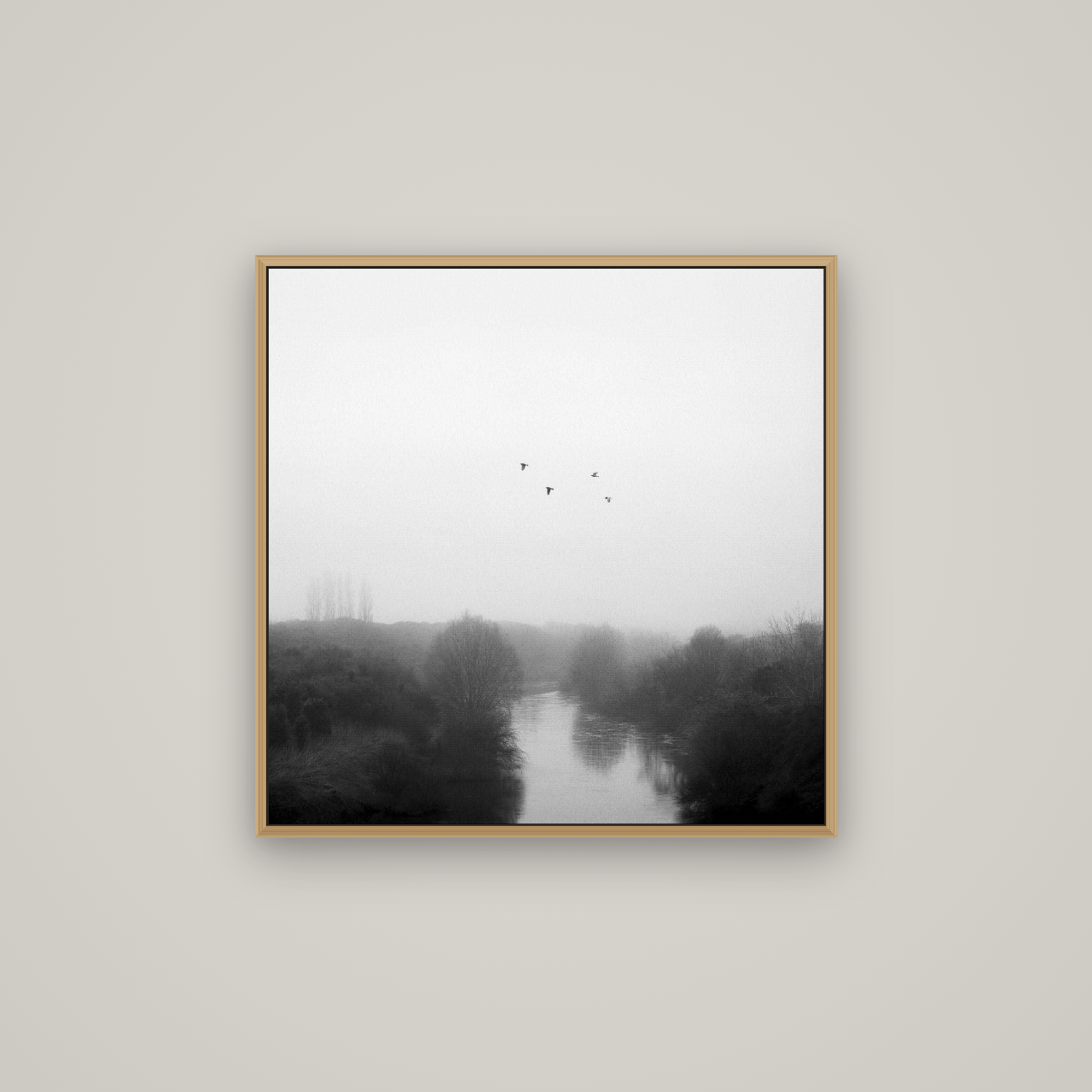 Graceful Flyby, Waikato, Basel Natural Oak, 70×70 cm. New Zealand fine art wall art by Stephen Milner.