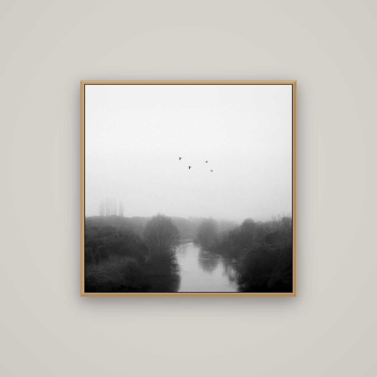 Graceful Flyby, Waikato, Basel Natural Oak, 80×80 cm. New Zealand fine art wall art by Stephen Milner.