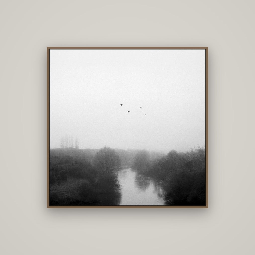Graceful Flyby, Waikato, Basel Walnut, 100×100 cm. New Zealand fine art wall art by Stephen Milner.