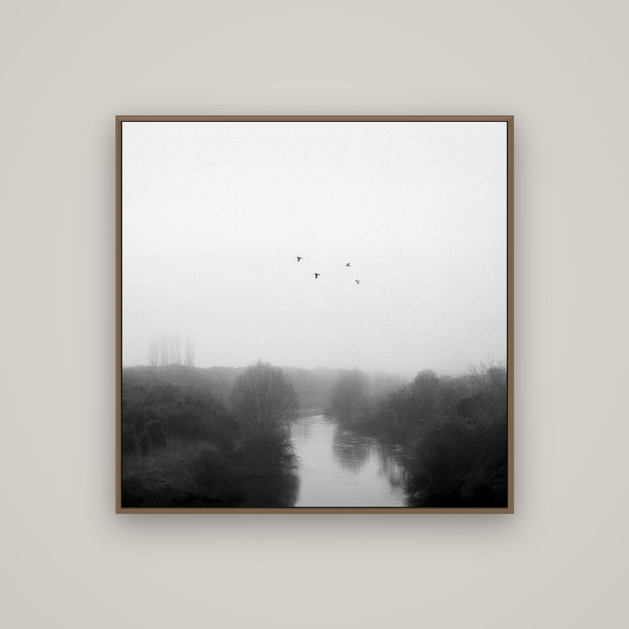 Graceful Flyby, Waikato, Basel Walnut, 100×100 cm. New Zealand fine art wall art by Stephen Milner.