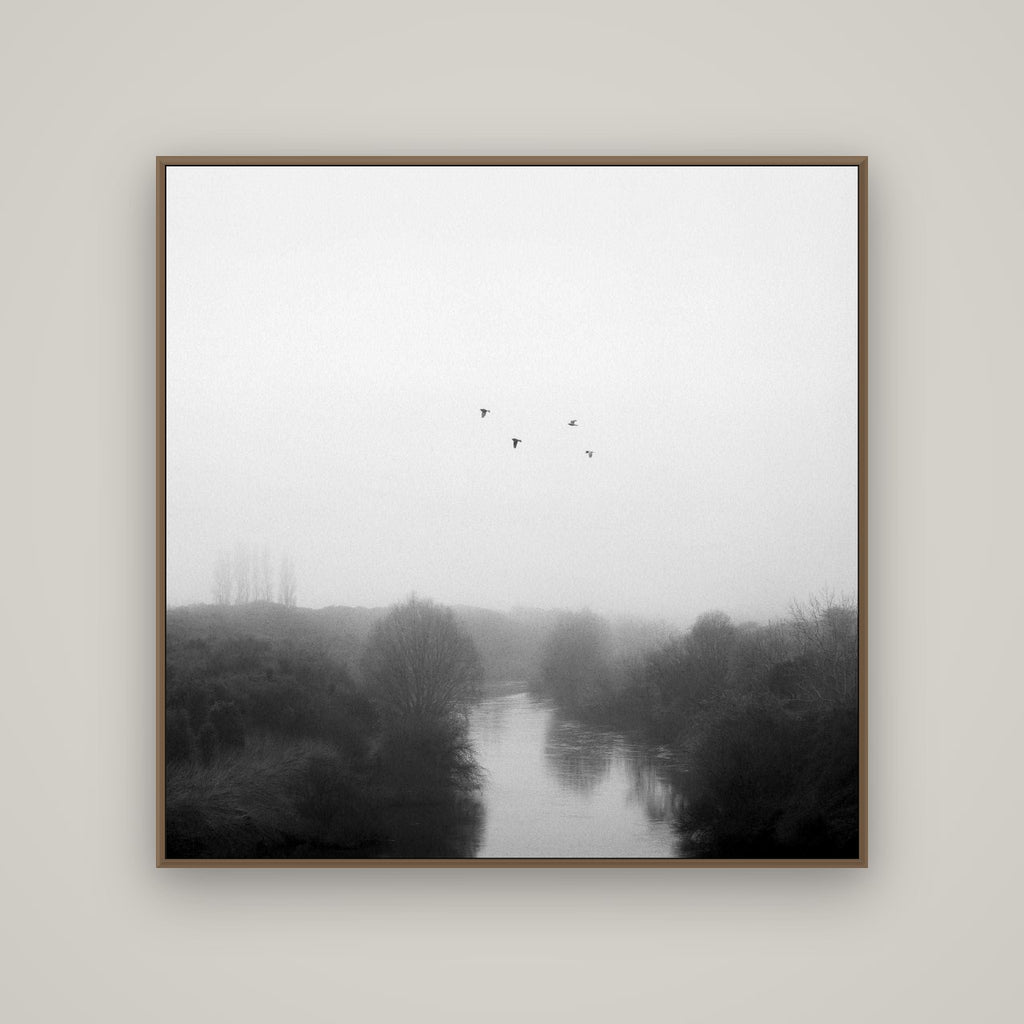 Graceful Flyby, Waikato, Basel Walnut, 120×120 cm. New Zealand fine art wall art by Stephen Milner.