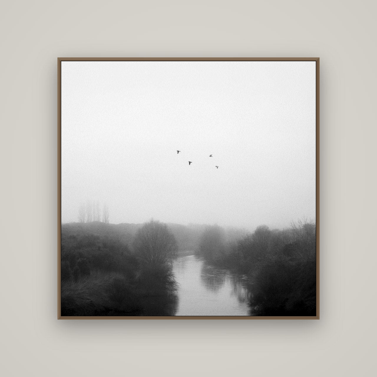 Graceful Flyby, Waikato, Basel Walnut, 120×120 cm. New Zealand fine art wall art by Stephen Milner.