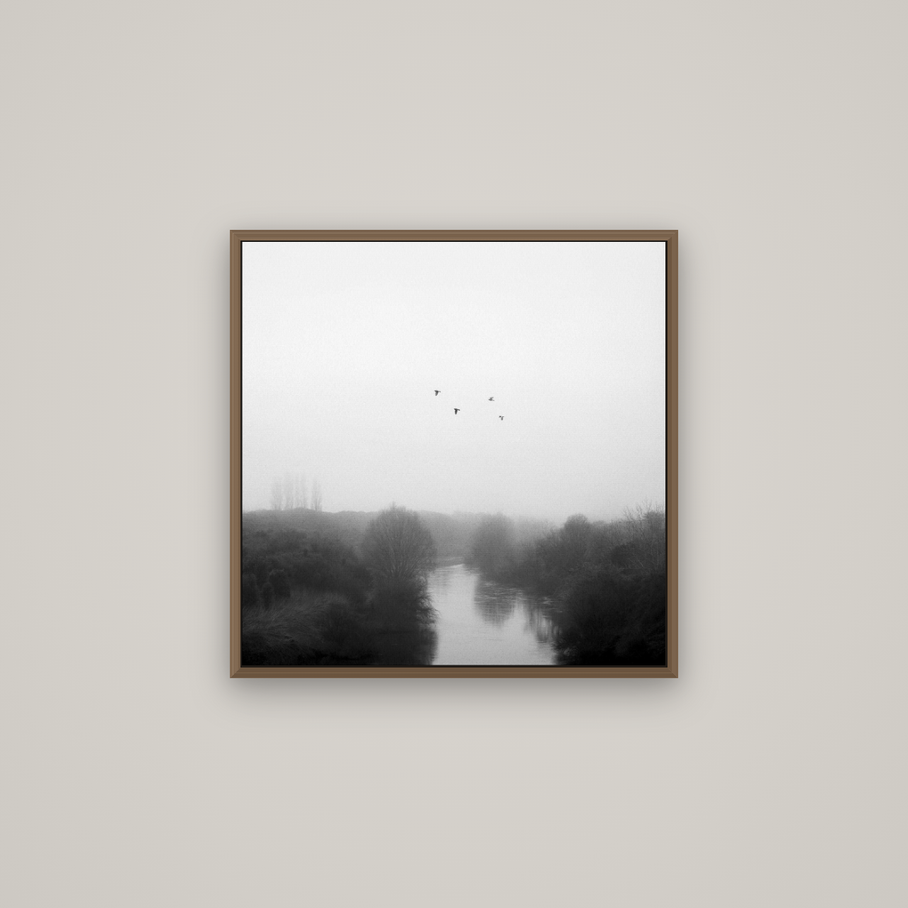 Graceful Flyby, Waikato, Basel Walnut, 60×60 cm. New Zealand fine art wall art by Stephen Milner.