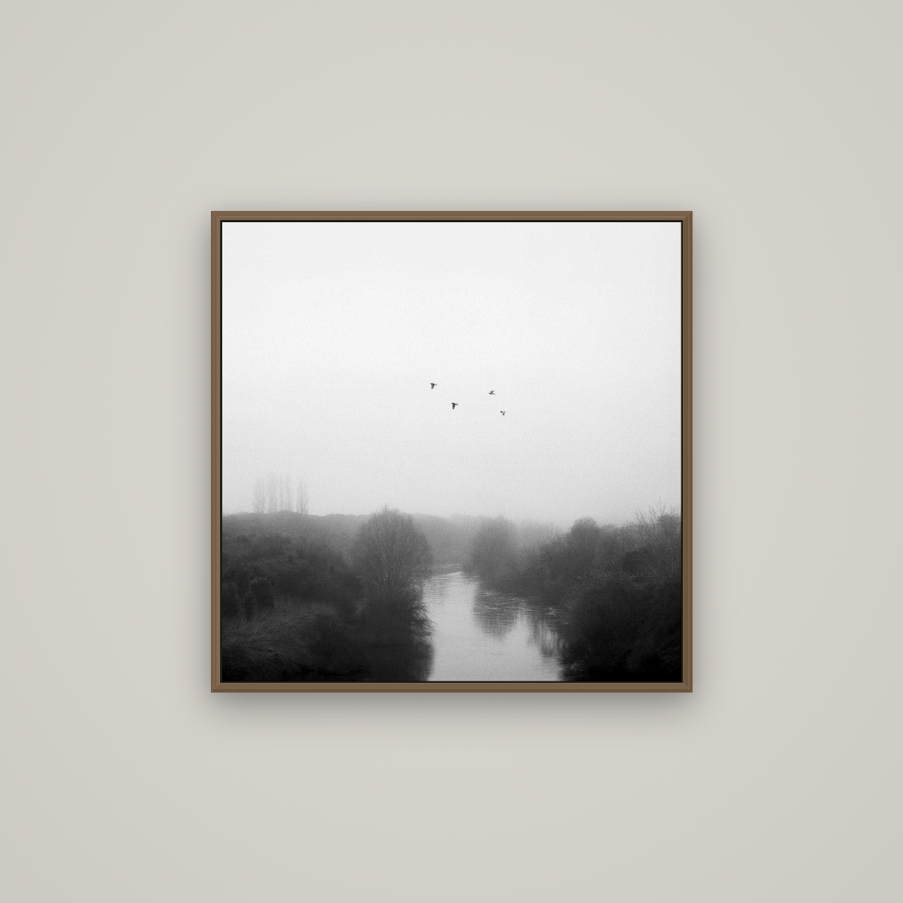 Graceful Flyby, Waikato, Basel Walnut, 70×70 cm. New Zealand fine art wall art by Stephen Milner.