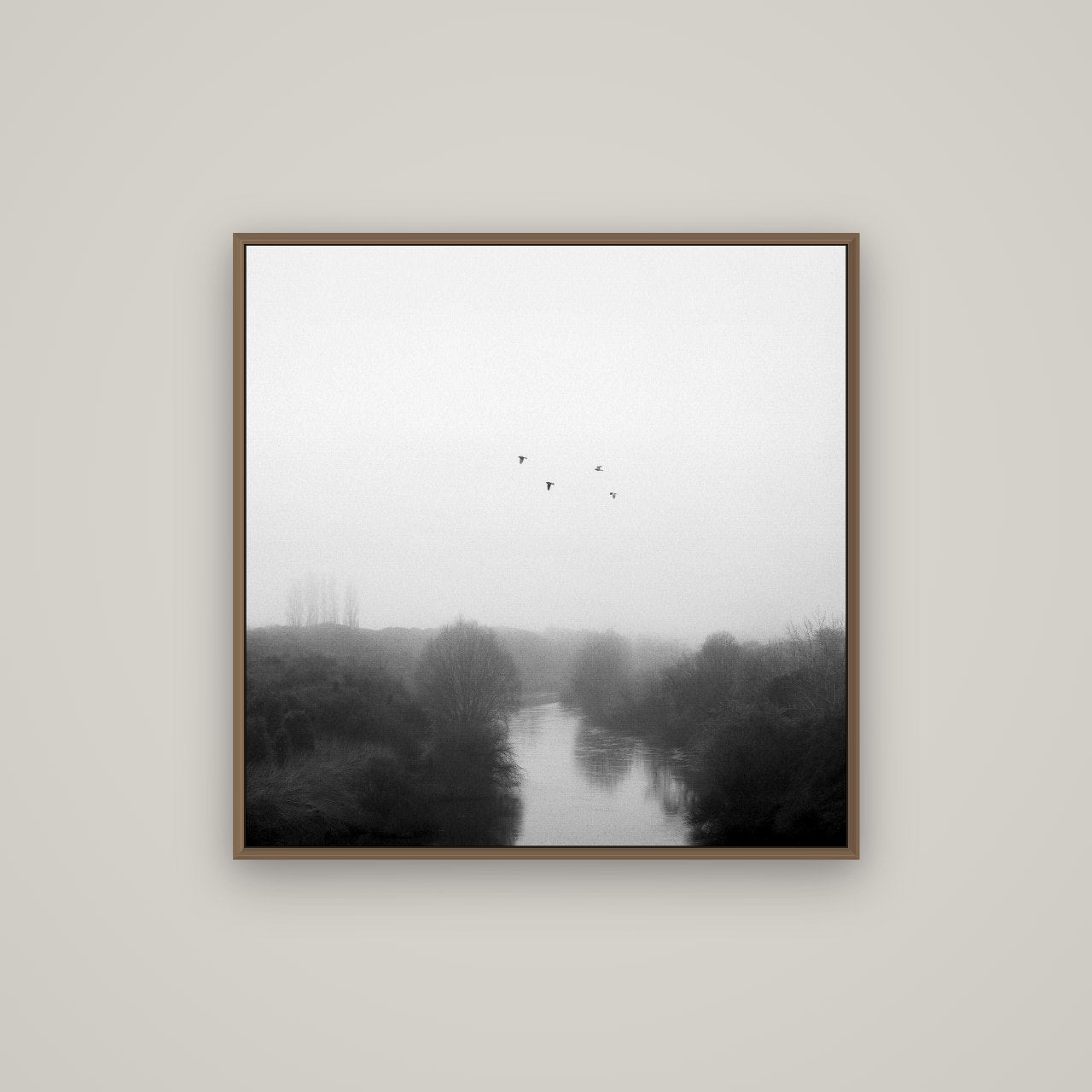 Graceful Flyby, Waikato, Basel Walnut, 80×80 cm. New Zealand fine art wall art by Stephen Milner.