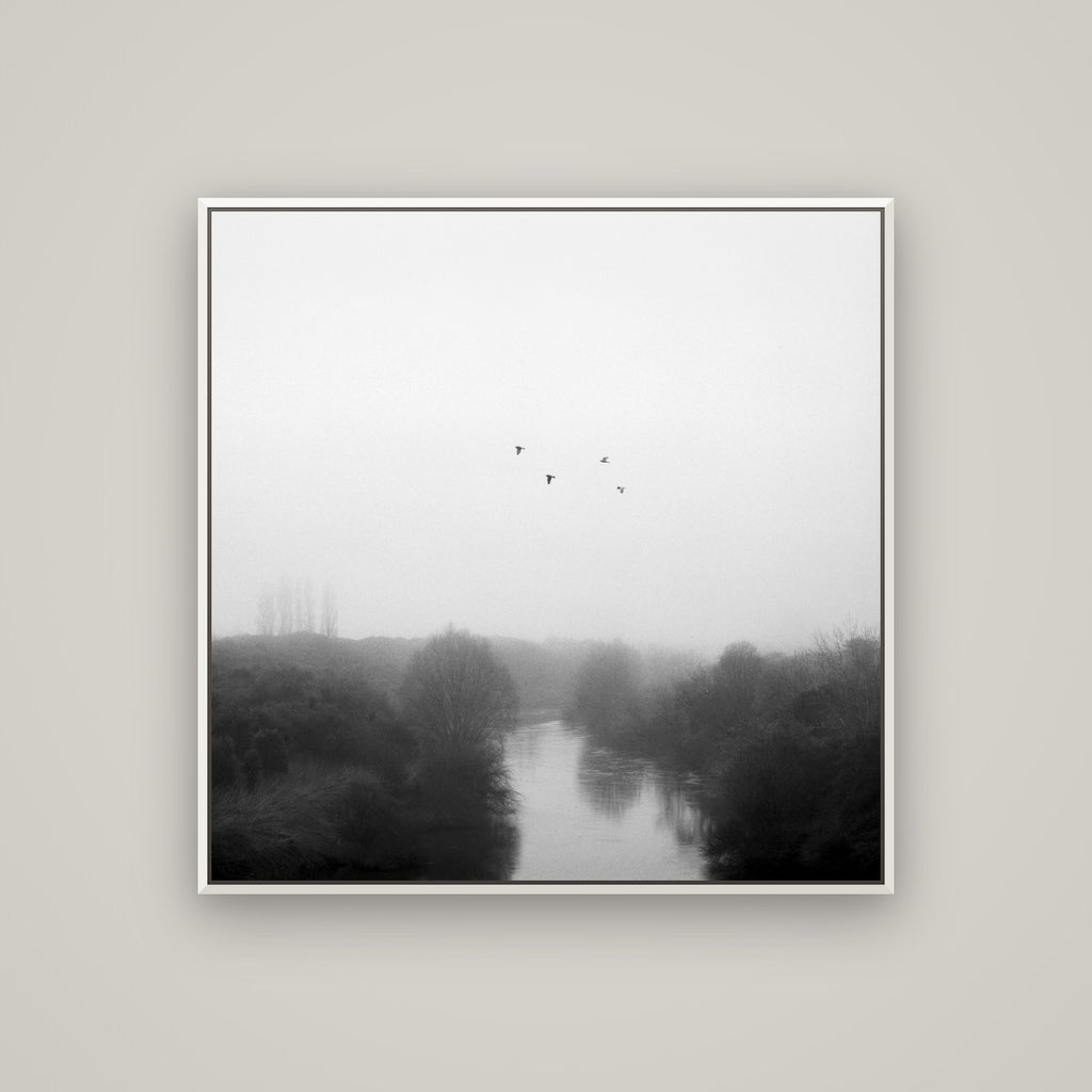Graceful Flyby, Waikato — Basel White, 100×100 cm. New Zealand fine art wall art by Stephen Milner.