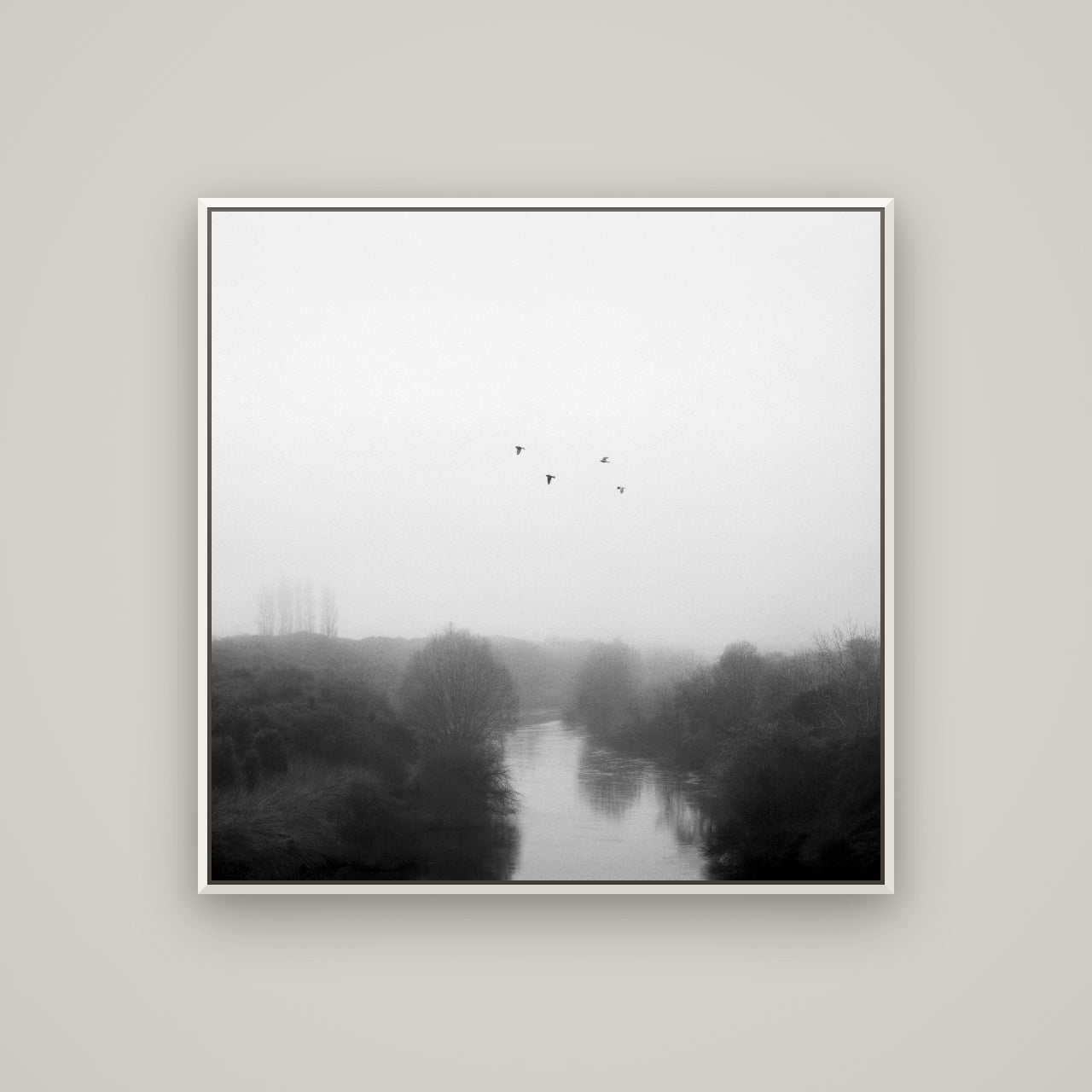 Graceful Flyby, Waikato — Basel White, 100×100 cm. New Zealand fine art wall art by Stephen Milner.