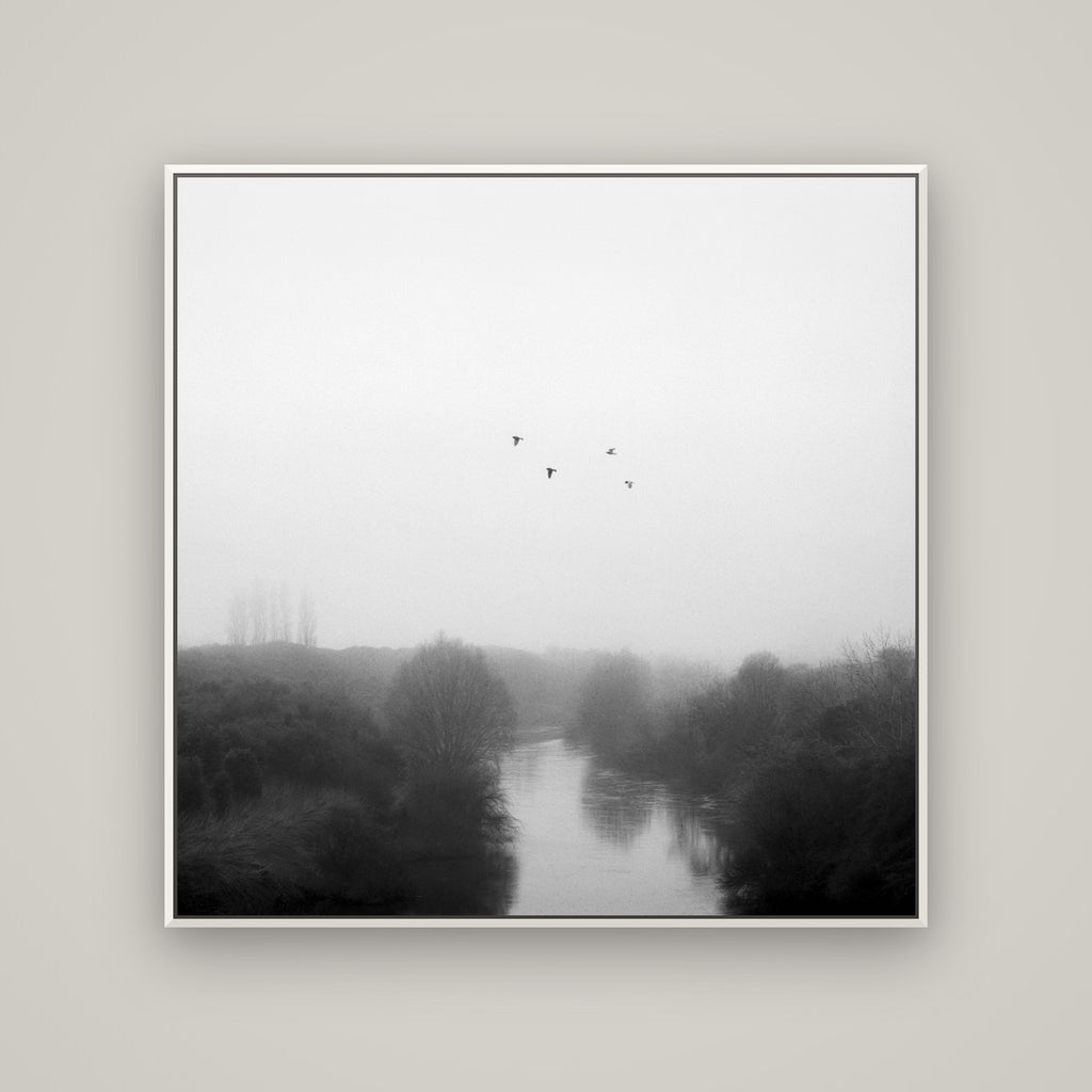 Graceful Flyby, Waikato — Basel White, 120×120 cm. New Zealand fine art wall art by Stephen Milner.