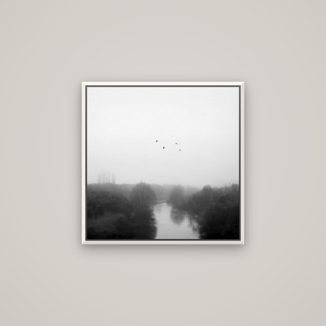 Graceful Flyby, Waikato — Basel White, 60×60 cm. New Zealand fine art wall art by Stephen Milner.