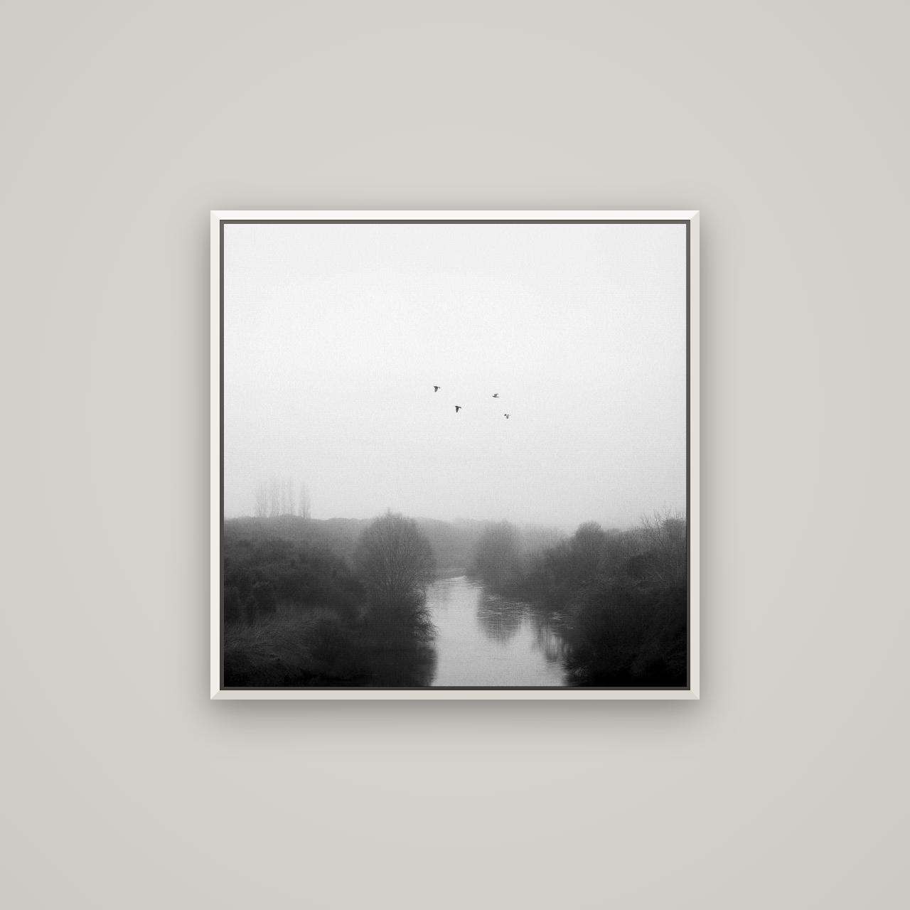Graceful Flyby, Waikato — Basel White, 70×70 cm. New Zealand fine art wall art by Stephen Milner.