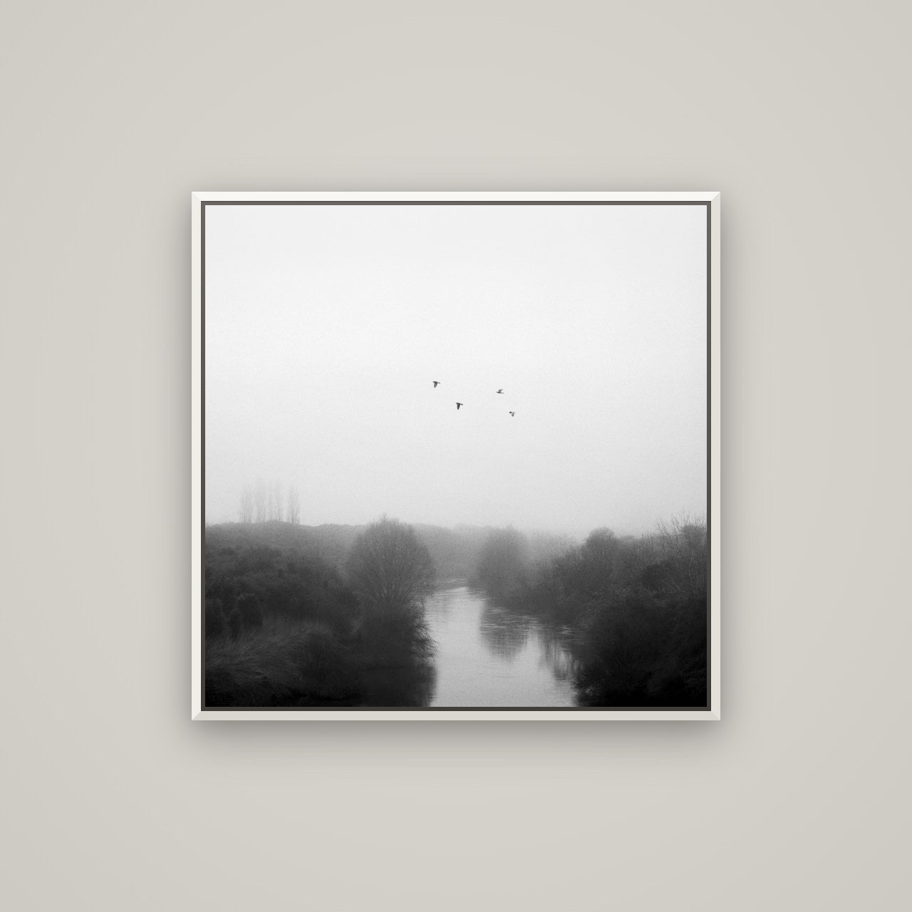 Graceful Flyby, Waikato — Basel White, 80×80 cm. New Zealand fine art wall art by Stephen Milner.