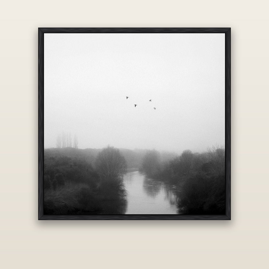 Graceful Flyby, Waikato — black float frame canvas, 133 × 133 cm. New Zealand fine art landscape wall art by Stephen Milner.