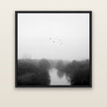Graceful Flyby, Waikato — black float frame canvas, 133 × 133 cm. New Zealand fine art landscape wall art by Stephen Milner.
