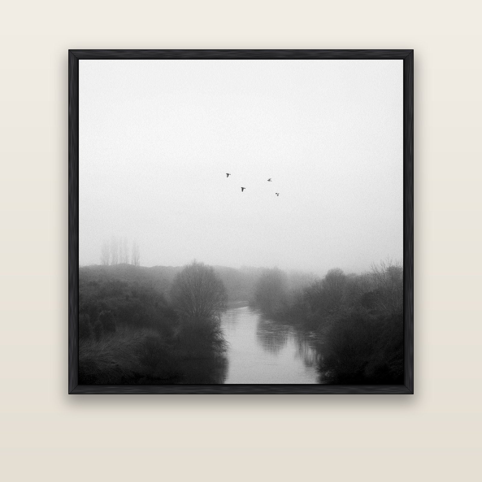 Graceful Flyby, Waikato — black float frame canvas, 133 × 133 cm. New Zealand fine art landscape wall art by Stephen Milner.