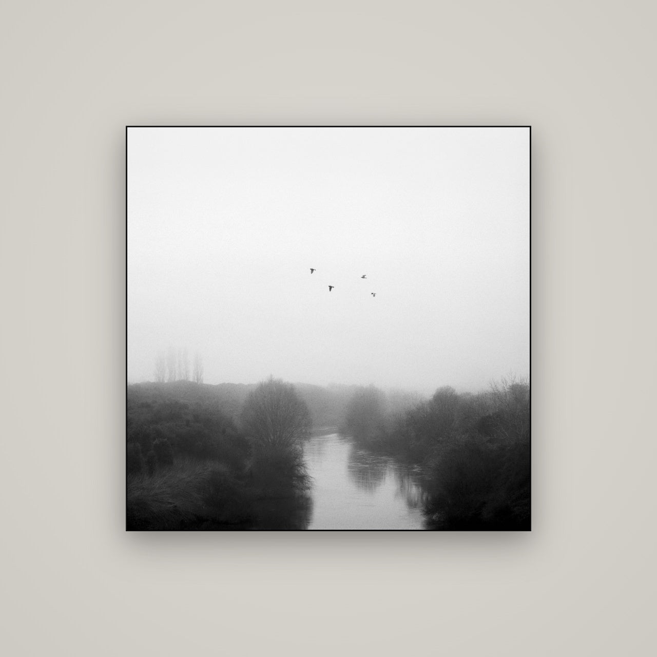 Graceful Flyby, Waikato — Slimline Black, 100×100 cm. New Zealand fine art wall art by Stephen Milner.
