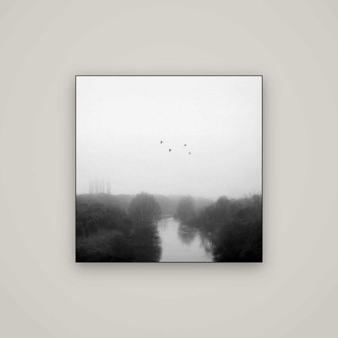 Graceful Flyby, Waikato — Slimline Black, 80×80 cm. New Zealand fine art wall art by Stephen Milner.