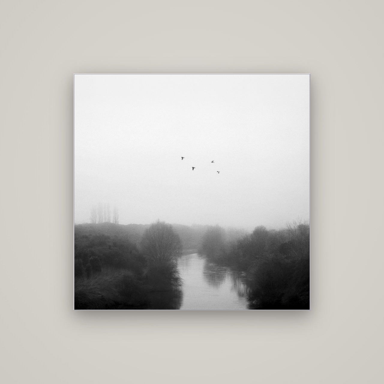 Graceful Flyby, Waikato — Slimline Silver, 100×100 cm. New Zealand fine art wall art by Stephen Milner.