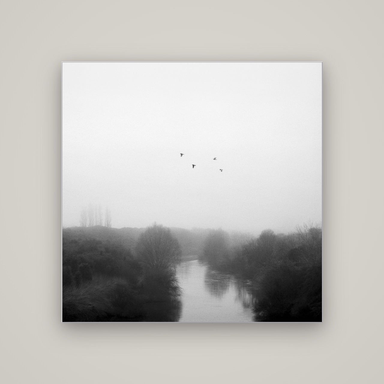 Graceful Flyby, Waikato — Slimline Silver, 120×120 cm. New Zealand fine art wall art by Stephen Milner.