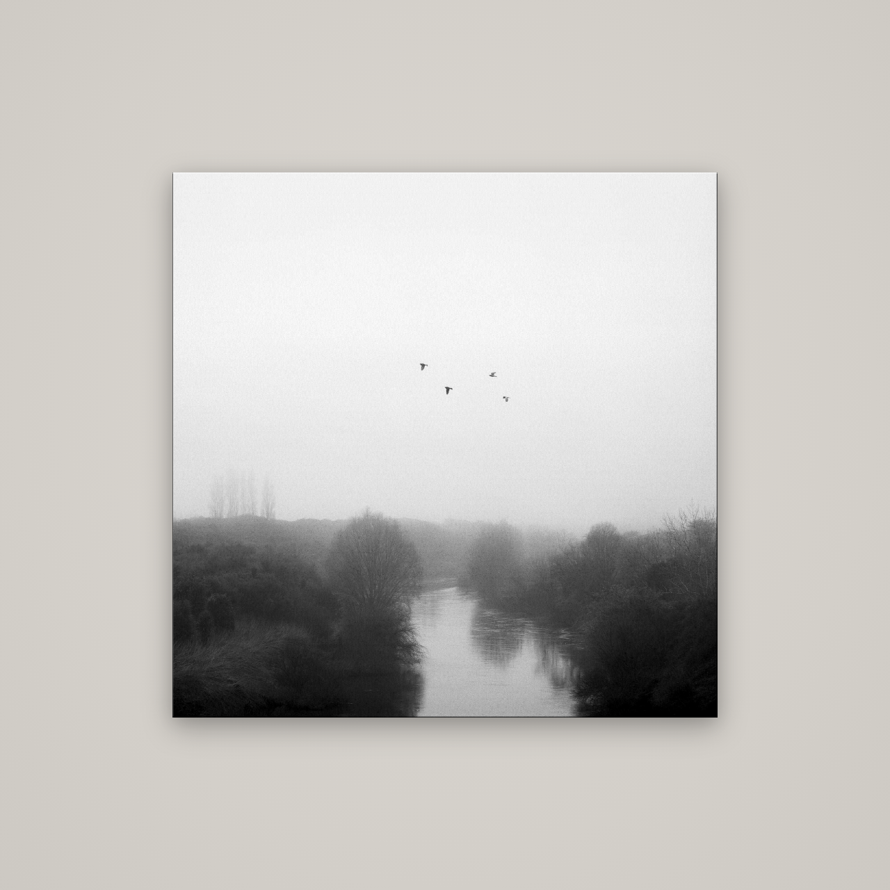 Graceful Flyby, Waikato — No frame, 100×100 cm. New Zealand fine art wall art by Stephen Milner.