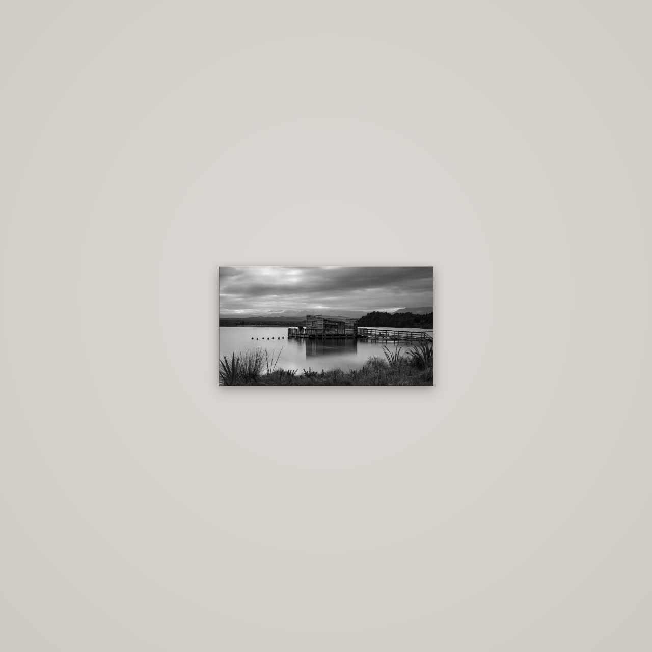 Guardian of the Lagoon, Ōkārito's Tranquil Embrace — No frame, 27×15 cm. New Zealand fine art wall art by Stephen Milner.