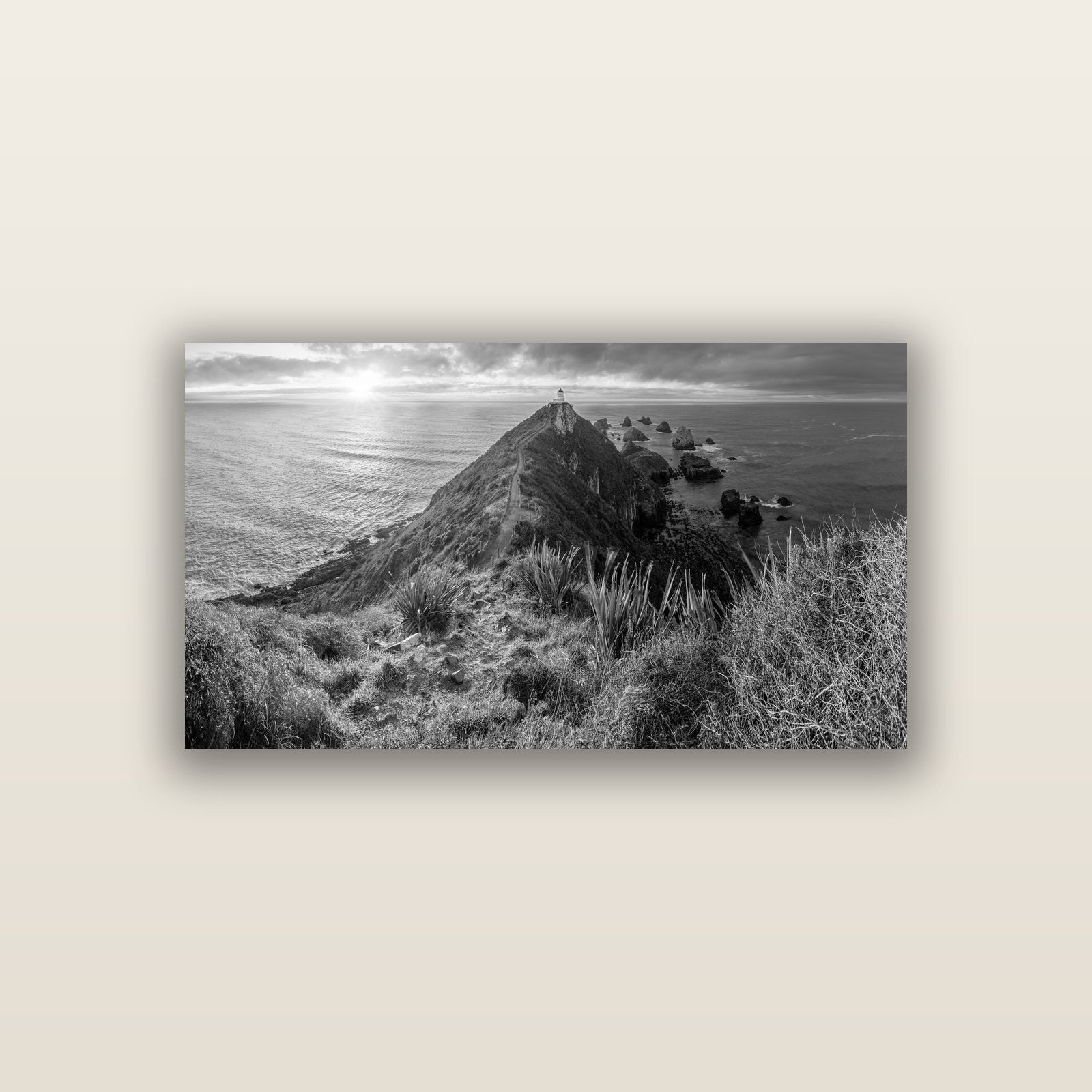 Guiding Light, Nugget Point Sunrise — acrylic panel print, small 76 × 38 cm. New Zealand fine art landscape wall art by Stephen Milner.