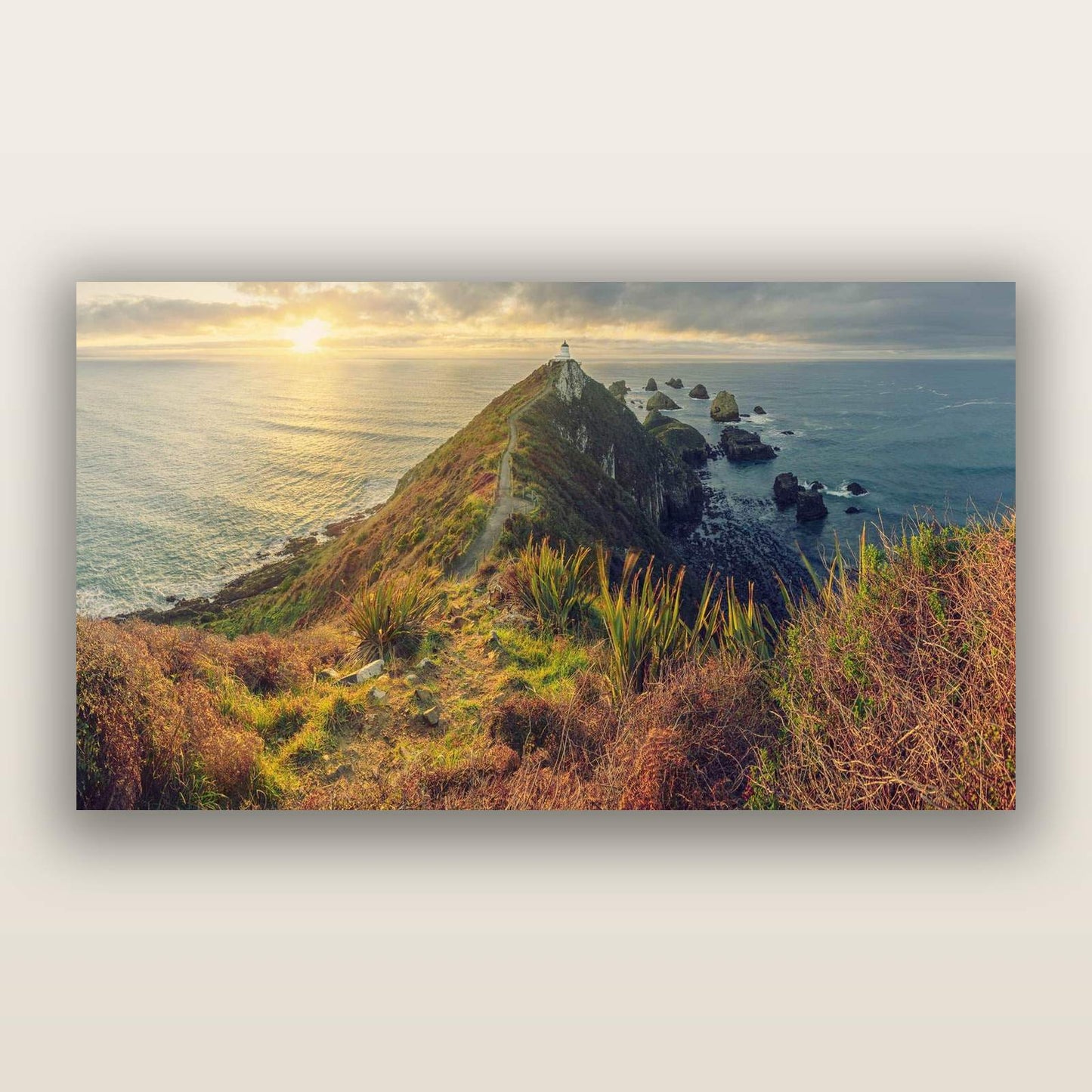 Guiding Light, Nugget Point Sunrise — frameless acrylic glass print. New Zealand fine art landscape photography by Stephen Milner.