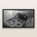 Guiding Light, Nugget Point Sunrise, black and white framed metallic canvas print, Black frame. New Zealand fine art wall art by Stephen Milner.