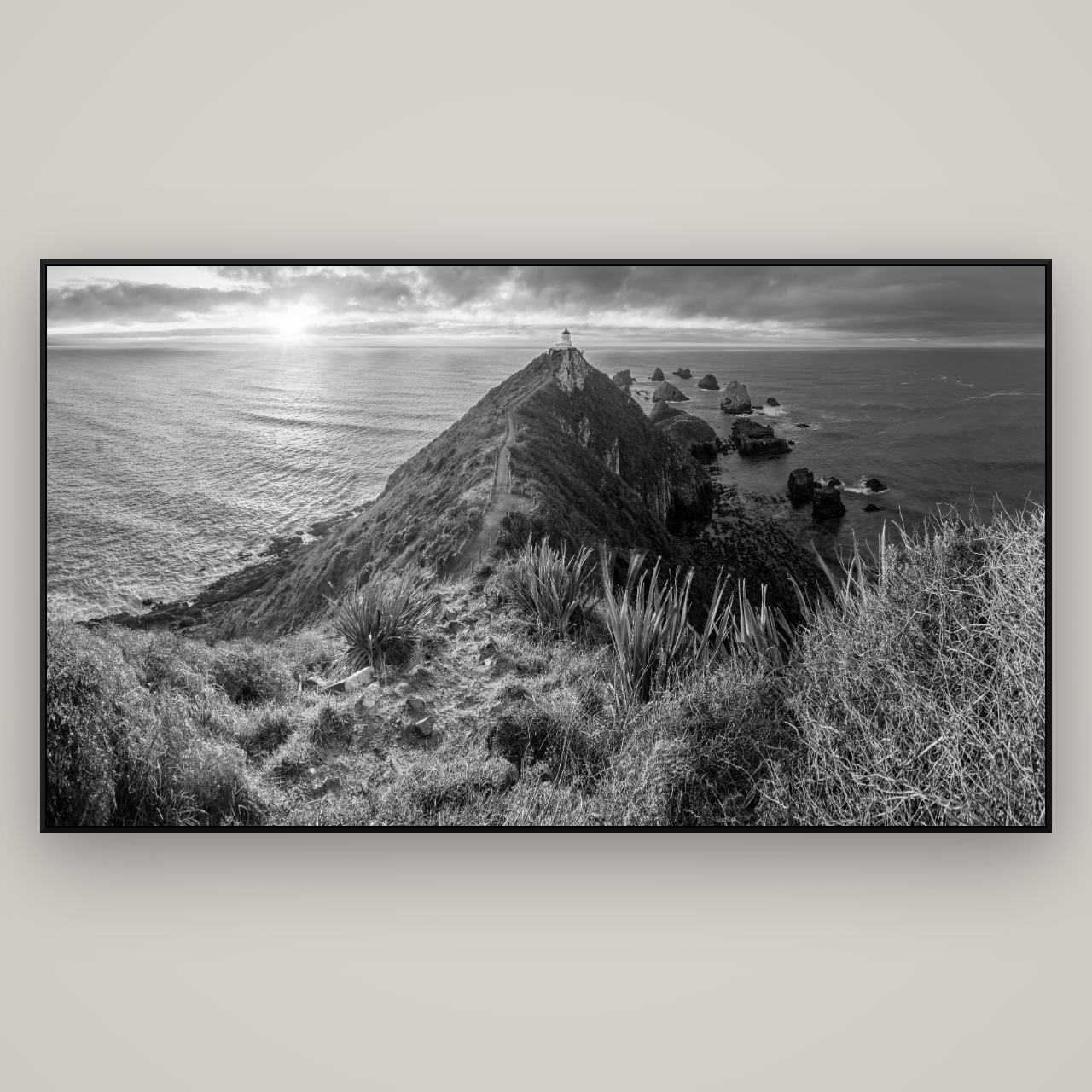 Guiding Light, Nugget Point Sunrise — ArtBox Black, 196×110 cm. New Zealand fine art wall art by Stephen Milner.