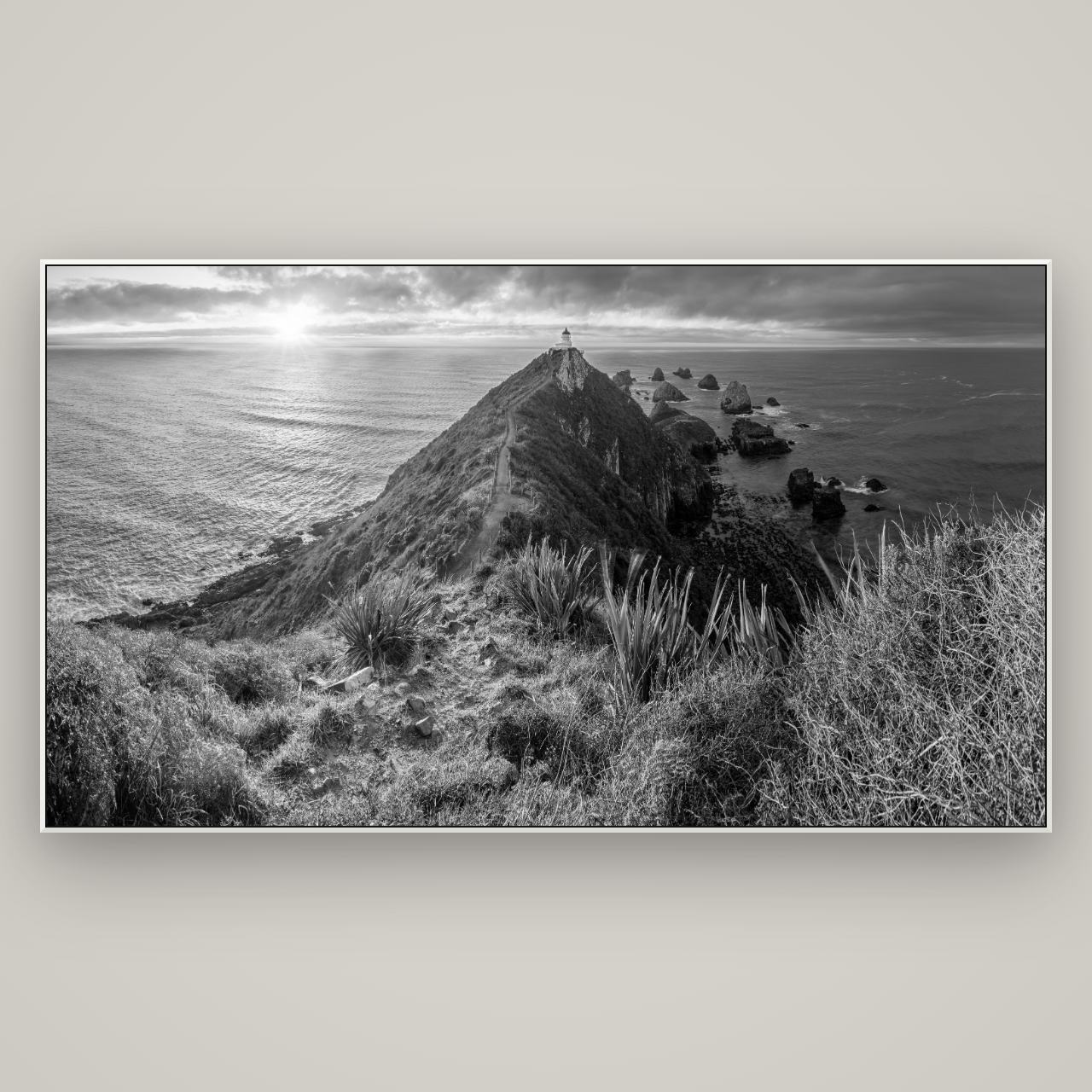 Guiding Light, Nugget Point Sunrise — ArtBox White, 196×110 cm. New Zealand fine art wall art by Stephen Milner.