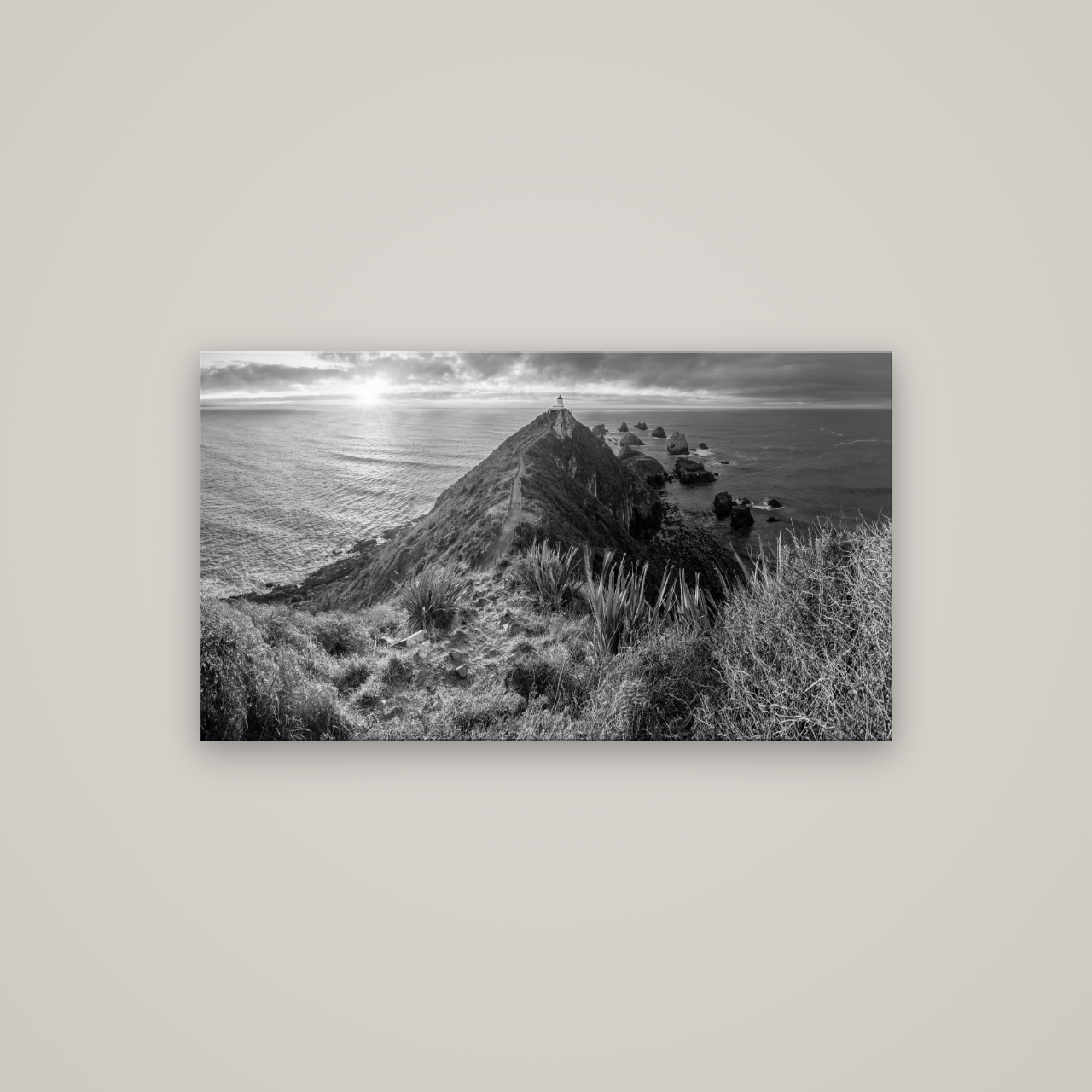 Guiding Light, Nugget Point Sunrise — No frame, 107×60 cm. New Zealand fine art wall art by Stephen Milner.